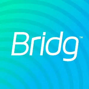 Bridg